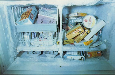eggleston_freezer
